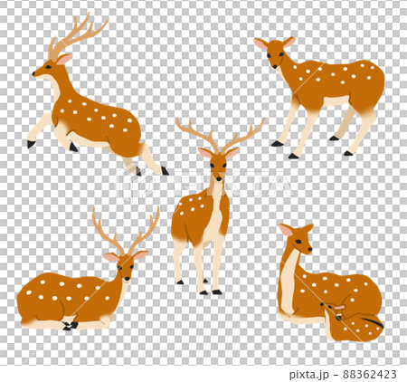 シカ2 シカ2 88362423