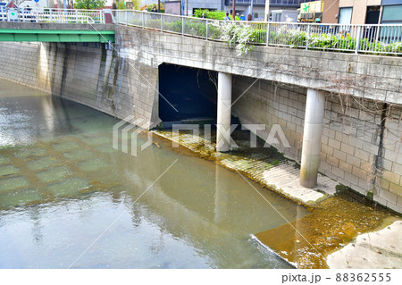 末広橋/神田川周辺(東京都新宿区)【2022.3】 末広橋/神田川周辺(東京都新宿区)【2022.3】 88362555