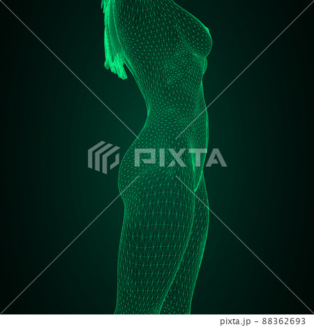 Conceptual vector illustration of a human body. Female breast and body in the form of a three-dimensional triangular polygonal mesh made of black lines. Conceptual vector illustration of a human body. Female breast and body in the form of a three-dimensional triangular polygonal mesh made of black lines. 88362693