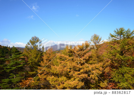 雪割溪谷へ行きました #45 雪割溪谷へ行きました #45 88362817