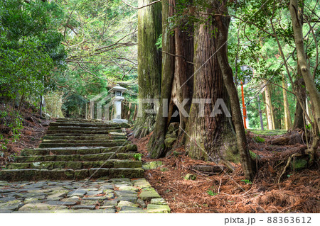 《和歌山県》熊野古道・大門坂 88363612