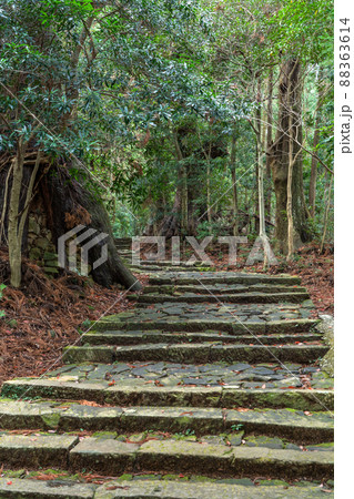 《和歌山県》熊野古道・大門坂 《和歌山県》熊野古道・大門坂 88363614