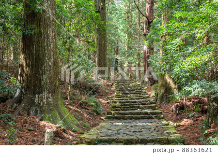 《和歌山県》熊野古道・大門坂 《和歌山県》熊野古道・大門坂 88363621
