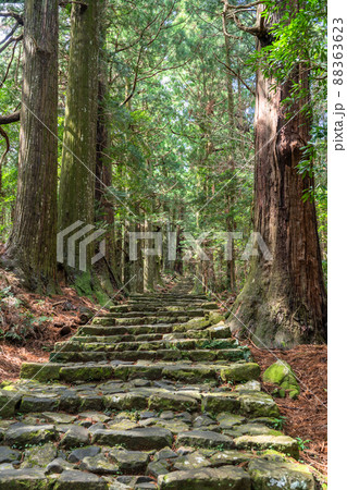 《和歌山県》熊野古道・大門坂 88363623