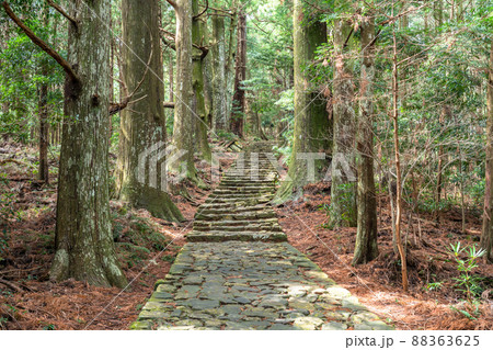 《和歌山県》熊野古道・大門坂 《和歌山県》熊野古道・大門坂 88363625