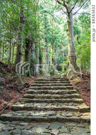 《和歌山県》熊野古道・大門坂 《和歌山県》熊野古道・大門坂 88363632