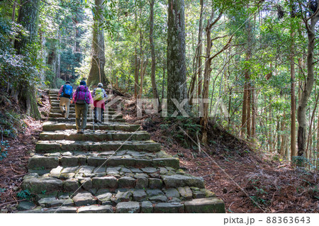 《和歌山県》熊野古道・大門坂 《和歌山県》熊野古道・大門坂 88363643