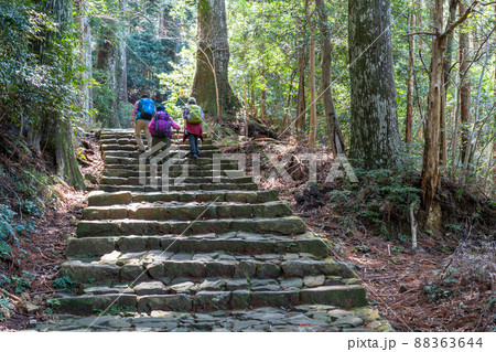 《和歌山県》熊野古道・大門坂 88363644