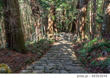 《和歌山県》熊野古道・大門坂 《和歌山県》熊野古道・大門坂 88363646