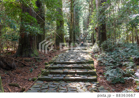 《和歌山県》熊野古道・大門坂 88363667
