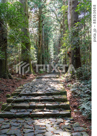 《和歌山県》熊野古道・大門坂 88363668