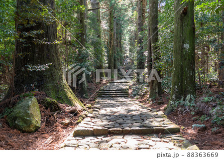《和歌山県》熊野古道・大門坂 88363669
