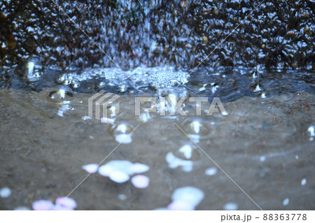 泡沫の世界 88363778