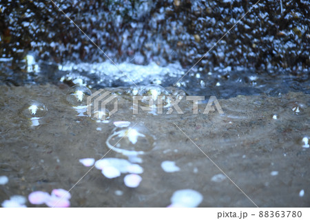 泡沫の世界 泡沫の世界 88363780