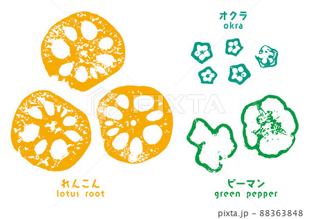 輪切り野菜のスタンプ（れんこん・オクラ・ピーマン） 88363848