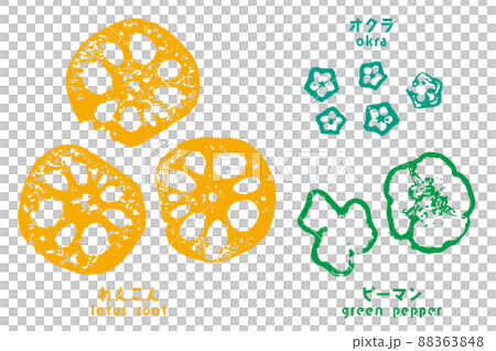 輪切り野菜のスタンプ（れんこん・オクラ・ピーマン） 88363848