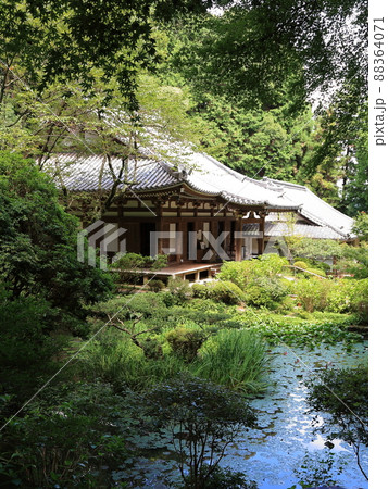 岩船寺本堂【京都府京田辺市】 岩船寺本堂【京都府京田辺市】 88364071