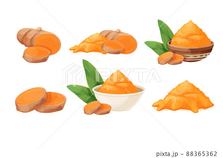 Set turmeric, curcuma dry powder in bowl, cup root in cartoon style isolated on white background. Homeopathy ingredient, aromatic Asian cuisine, close up Set turmeric, curcuma dry powder in bowl, cup root in cartoon style isolated on white background. Homeopathy ingredient, aromatic Asian cuisine, close up 88365362