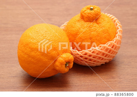 フルーツネットに入ったデコポン 88365800