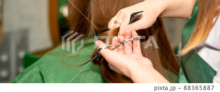 A hairdresser is cutting long hair in a hair salon A hairdresser is cutting long hair in a hair salon 88365887