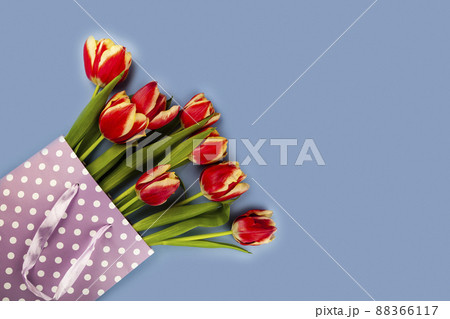 Composition with tulips in paper bag on blue background. Composition with tulips in paper bag on blue background. 88366117