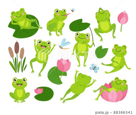 Cute green frogs. Nature and frogs, cartoon... - Stock Illustration  [88366341] - PIXTA