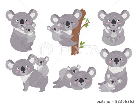Koala and baby. Animal mother hugs babies clipart. Cartoon koalas mom and cutie wild children. Australia symbols, jungle bear neoteric vector characters 88366362