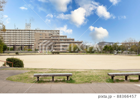 団地の桜 団地の桜 88366457