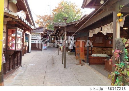 【広島県】みろくの里のいつか来た道 88367218
