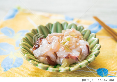 たこわさ 88367308