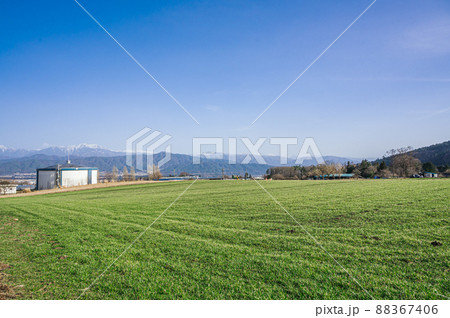 爽やかな牧草が広がる風景 爽やかな牧草が広がる風景 88367406
