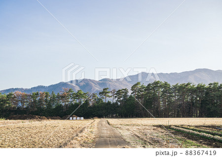 田畑と里山　南箕輪村 88367419