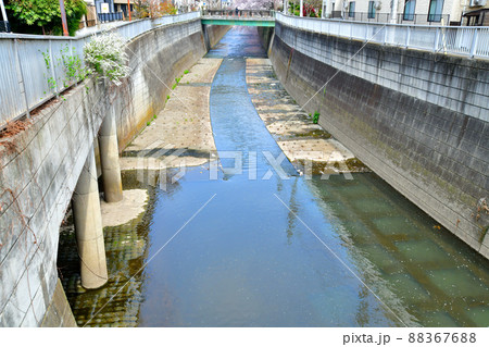 末広橋／神田川より下流方向を望む(東京都新宿区)【2022.3】 88367688