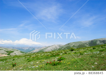 An inspiring scenic summer field landscape. Crimean mountains. Crimean peninsula. The peninsula was annexed to the Russian Federation. Ukraine. 88368645