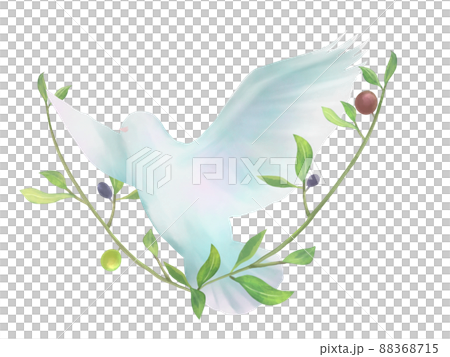 Watercolor illustration of white dove and olive Watercolor illustration of white dove and olive 88368715