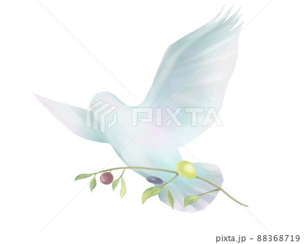 オリーブを運ぶ鳩の水彩イラスト 88368719