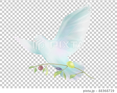 オリーブを運ぶ鳩の水彩イラスト 88368719