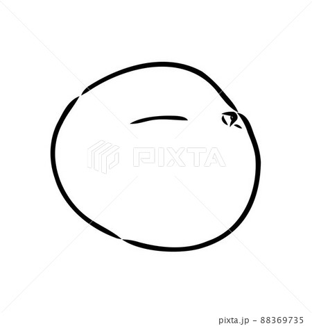 Mango hand drawn illustration by ink and pen sketch. Isolated vector design for using in natural or organic fruit product and health care goods. Mango hand drawn illustration by ink and pen sketch. Isolated vector design for using in natural or organic fruit product and health care goods. 88369735