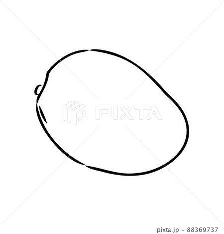 Mango hand drawn illustration by ink and pen sketch. Isolated vector design for using in natural or organic fruit product and health care goods. Mango hand drawn illustration by ink and pen sketch. Isolated vector design for using in natural or organic fruit product and health care goods. 88369737
