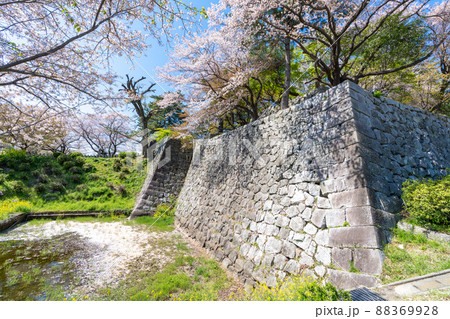 《福岡県》久留米城跡（篠山神社）福岡県久留米市 88369928