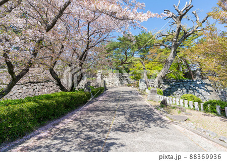 《福岡県》久留米城跡(篠山神社)福岡県久留米市 《福岡県》久留米城跡(篠山神社)福岡県久留米市 88369936
