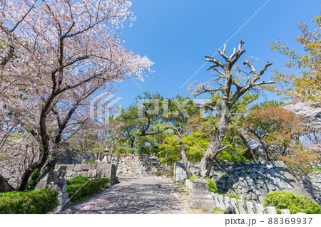 《福岡県》久留米城跡（篠山神社）福岡県久留米市 88369937