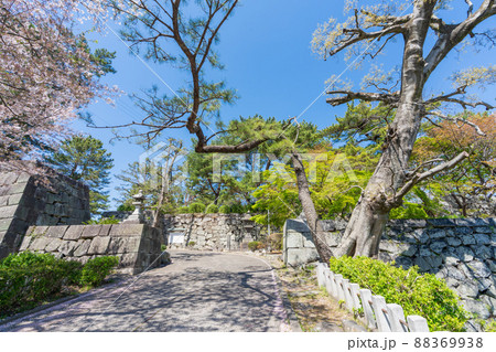 《福岡県》久留米城跡（篠山神社）福岡県久留米市 88369938