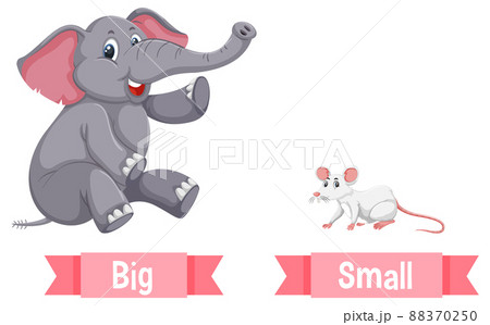 Opposite wordcard for big and small illustration Stock Photo - Alamy