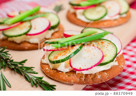 Cracker Sandwich with Cream Cheese, Fresh Cucumber and Radish Cracker Sandwich with Cream Cheese, Fresh Cucumber and Radish 88370949