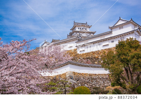 兵庫県 国宝姫路城と満開の桜 兵庫県 国宝姫路城と満開の桜 88372034