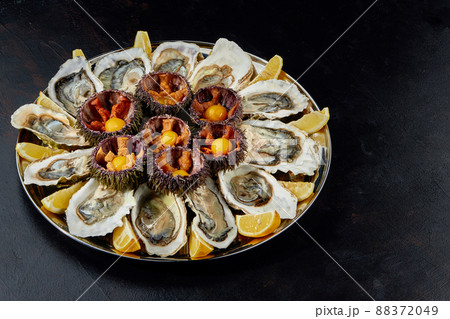Top view of seafood platter: shellfish, oysters, sea urchin and balsamic sauce Top view of seafood platter: shellfish, oysters, sea urchin and balsamic sauce 88372049