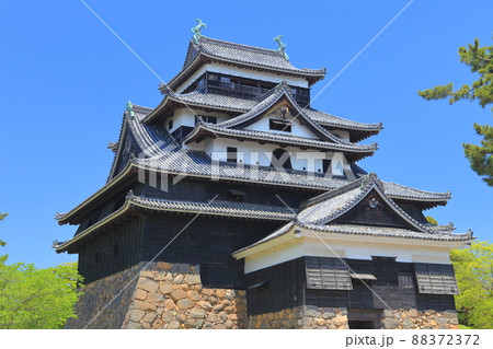 【島根県】晴天下の国宝松江城 【島根県】晴天下の国宝松江城 88372372
