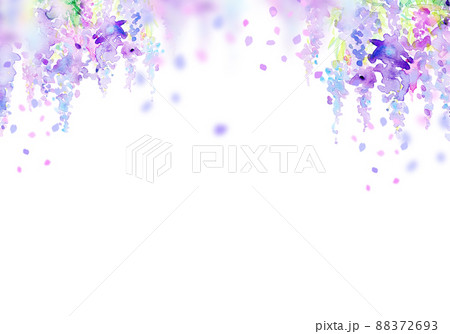 青空と藤の花　背景素材 88372693