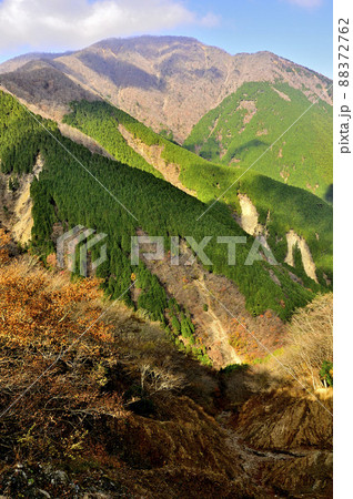 晩秋の西丹沢　山梨百名山の大室山 88372762